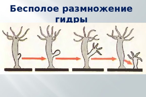 Зеркало kraken krakens16
