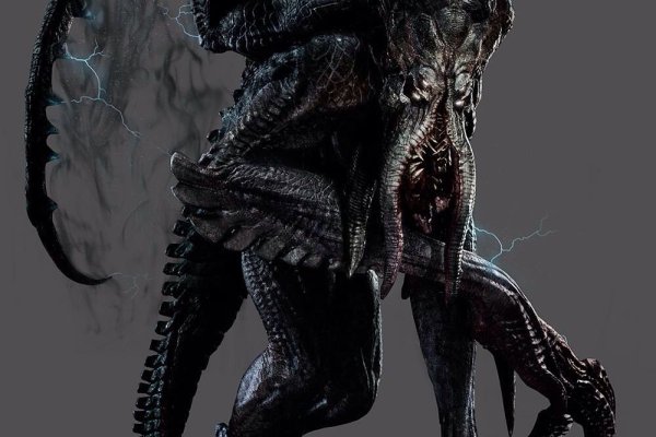 Kraken cc