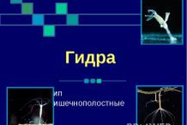 Kraken darknet market ссылка тор