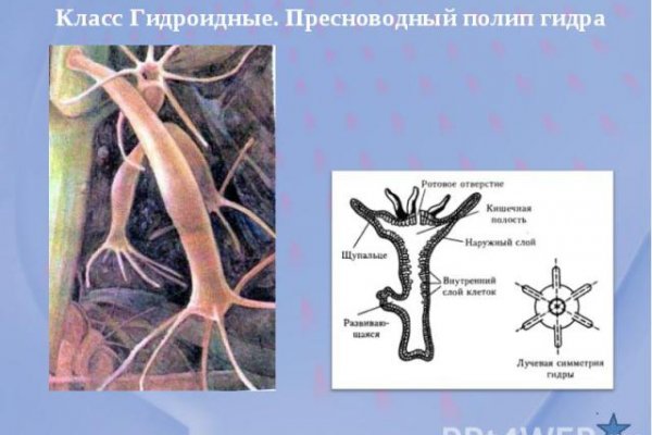 Маркет плей кракен
