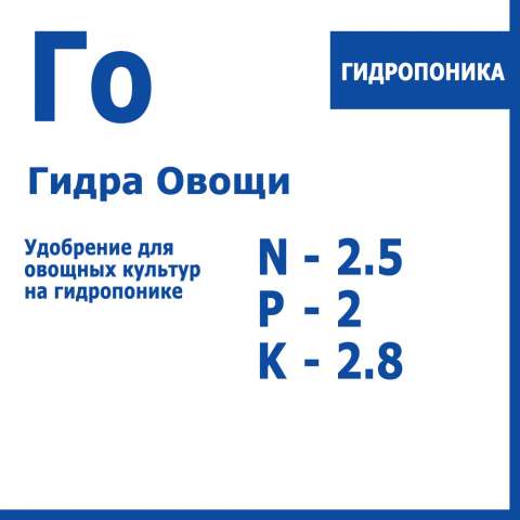 Kraken onion зеркала 2024